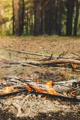 The fire in the forest vertical