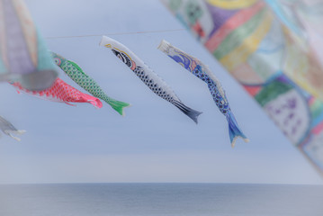 鯉のぼり