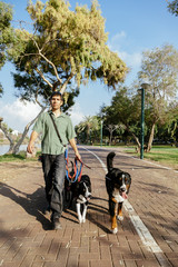 Naklejka na ściany i meble Dogwalker with Dogs in Park