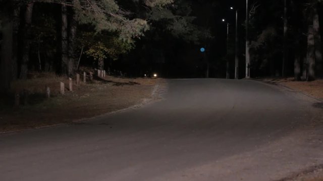 Car Stopped on the Night Road in Forest