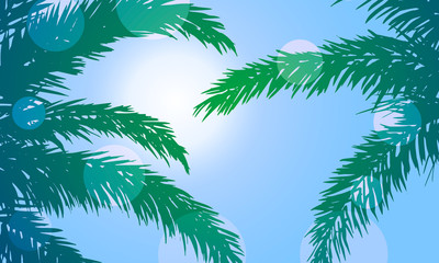Fototapeta na wymiar Summer. Palm leaves and a shining sun