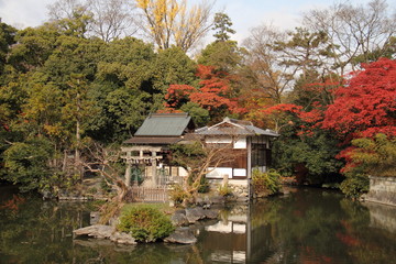 Red autumn leaves, pond and traditional building at Kyoto Gosho ( Kyoto Imperial Palace ) in Kyoto, Japan