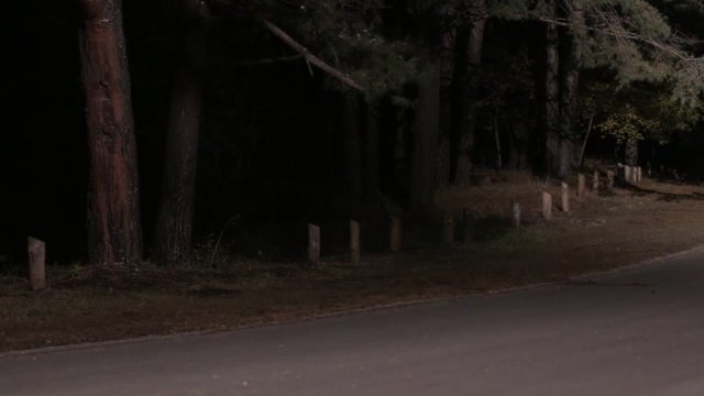 Dangerous Driving on the Night Road