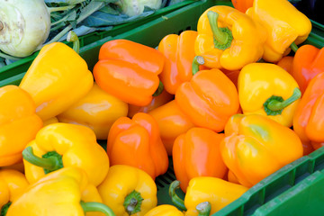 fresh paprika