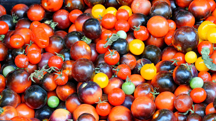 Fresh colorful tomatoes