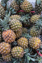 Pile of tropical organic pineapples fruits in basket for sell in tradtional farmer market of Bali island, Indonesia.