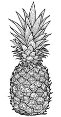 Pineapple illustration, drawing, engraving, ink, line art, vector