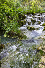 Fototapeta premium Plitvice lakes waterfall natural green landscape, Croatia