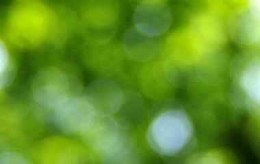 Plakat Green blurred background