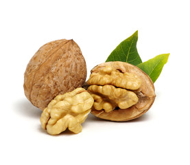 Walnuts with leaves