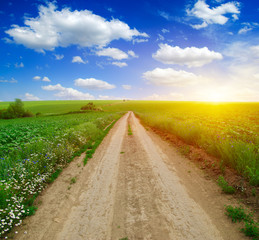 road in field