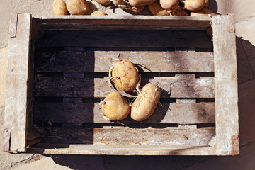 Potatoes in a wooden box. 