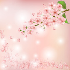 Obraz na płótnie Canvas Nature background with blossom of pink sakura flowers, leaves and buds. Shining vector template with beautiful pink flowers branch and soaring petals