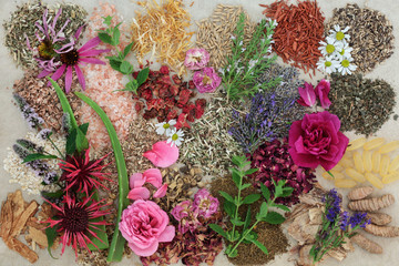 Herbal medicine selection with flowers and herbs to heal skin disorders such as psoriasis and...