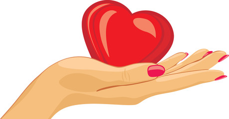 Heart in the female palm