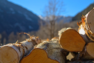 Holzstapel aus Erlen un Birkenholz, um im Winter das Wohnhaus zu heizen.