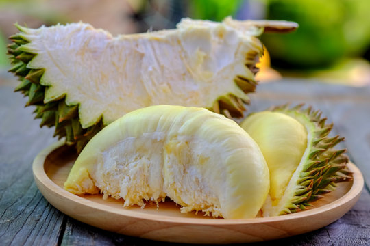 Durian king of fruits for summer.