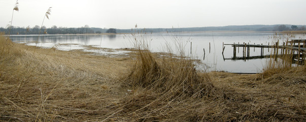 Fototapeta premium Winteridylle am Wreecher See, Putbus, auf der Insel Rügen