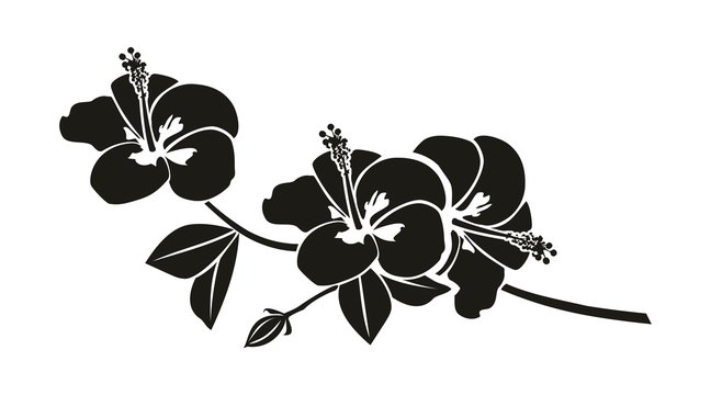 Schwarze Silhouette eine Hibiskus Blume
