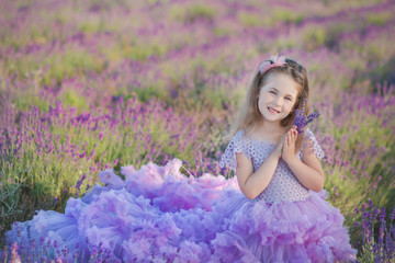 A girl in a beautiful lush purple dress in lavender field. Sweet girl in the lush lilac dress. Sweet girl in a lavender field