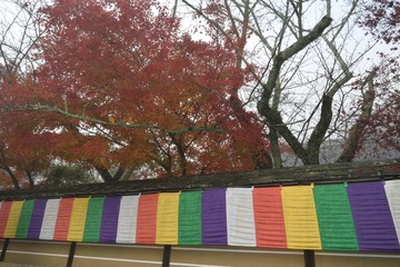 石山寺築地堀の紅葉