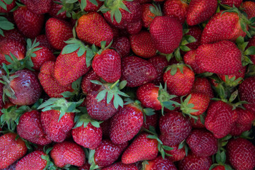 Pile of Strawberries