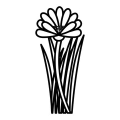 beautiful Flower decoration icon vector illustration design