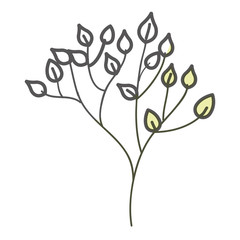 leafs plant decorative icon vector illustration design