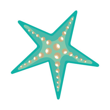 tropical starfish isolated icon vector illustration design