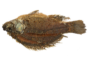 Deep Fried Tilapia fish, Fried fish.