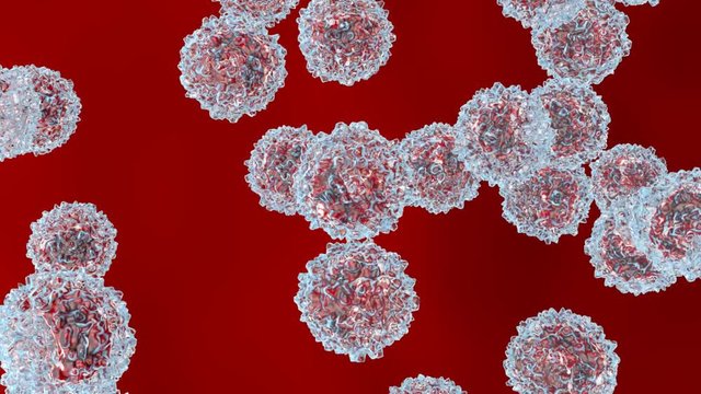 Monocyte type leukocyte cells flowing in the bloodstream.
