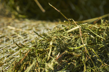 Hay bales at an Amish farm, Lancaster County, Pennsylvania, USA