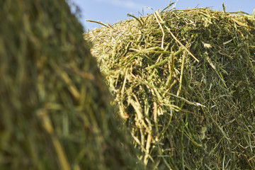 Hay bales at an Amish farm, Lancaster County, Pennsylvania, USA
