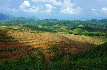 Scene of deforestation for agriculture at Vietnamese highland as Lam Dong, Daklak,  vast bare hill, forest land into agricultural land, this make climate change, affect to living environment