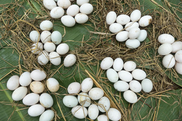 duck eggs and dried straw on banana leaf