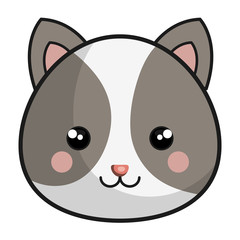 cute and tender hamster kawaii style vector illustration design