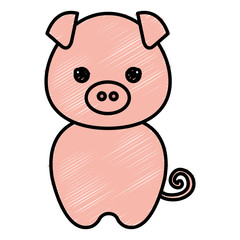 Fototapeta premium cute and tender piggy kawaii style vector illustration design