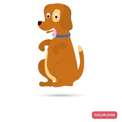Dog color flat icon for web and mobile design