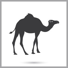 Camel simple icon for web and mobile design