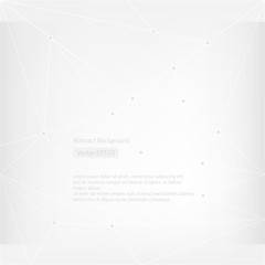 Abstract vector background. Grey and white network pattern. Text presentation illustration