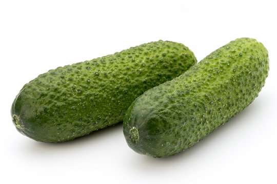 The first spring ecologically cucumbers.