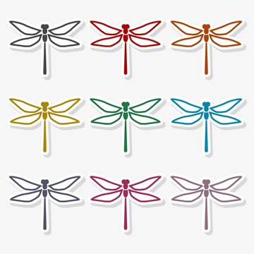 Dragonfly insect vector icon