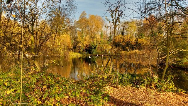 Wandsworth Common November 2016