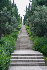 The territory of sanatorium 