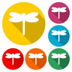 Dragonfly insect vector