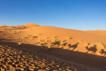 Fototapeta na wymiar Stunning landscape of Erg Chebbi desert, Merzouga, Morocco