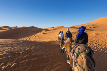 Tour de chameau au coucher du soleil à Erg Chebbi dans le désert du Sahara, Merzouga, Maroc