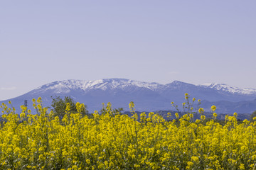 蔵王山　山風景