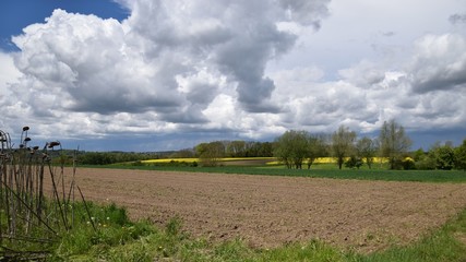 Fototapeta na wymiar Regenwolken über dem Feld