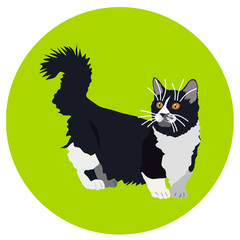 Cats of different breeds. Icons. Vector image in a flat style. Illustration on a round background. Element of design, interface